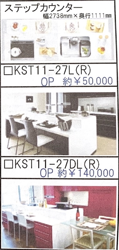 カタログ_ステップカウンター