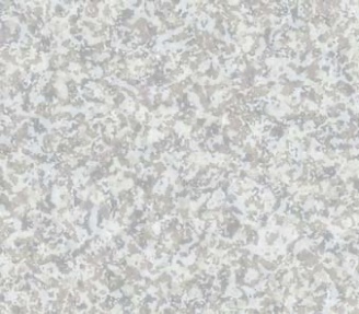 1階_トイレ_床_東リ製_i