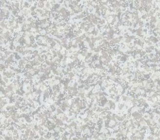 1階_洗面所_床_東リ製_i