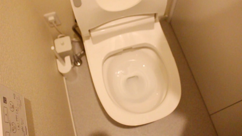 アラウーノ_便座戻す2