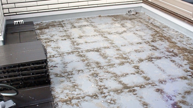 ルーフガーデン_掃除_WPC外した1