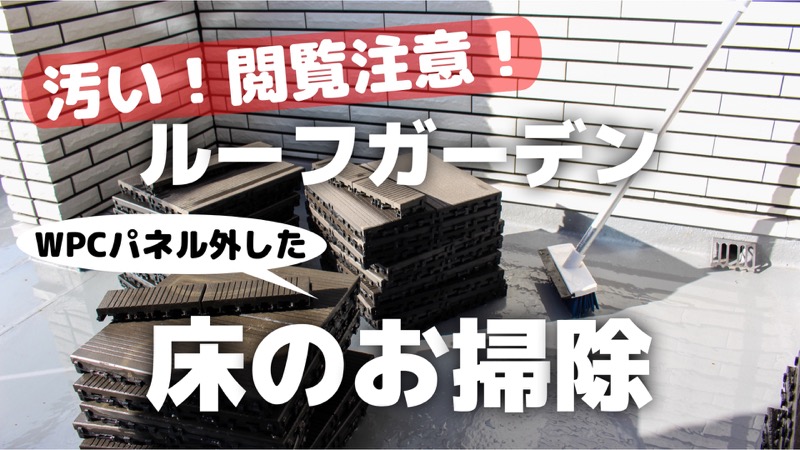 ルーフガーデン床のお掃除