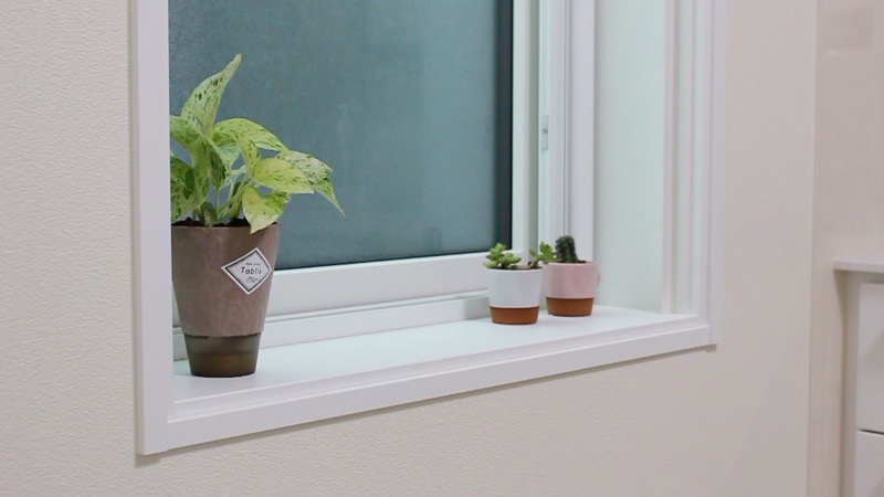 ポトス_株分け後_元