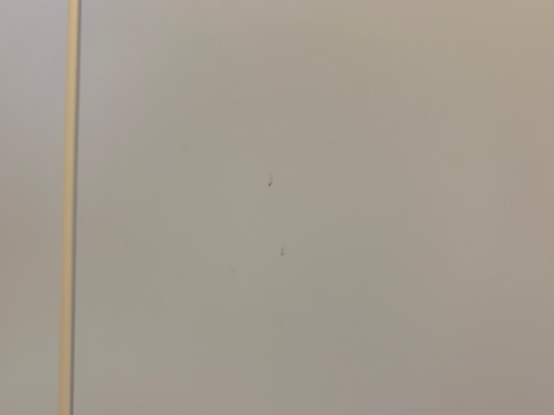 シューズウォールの汚れ