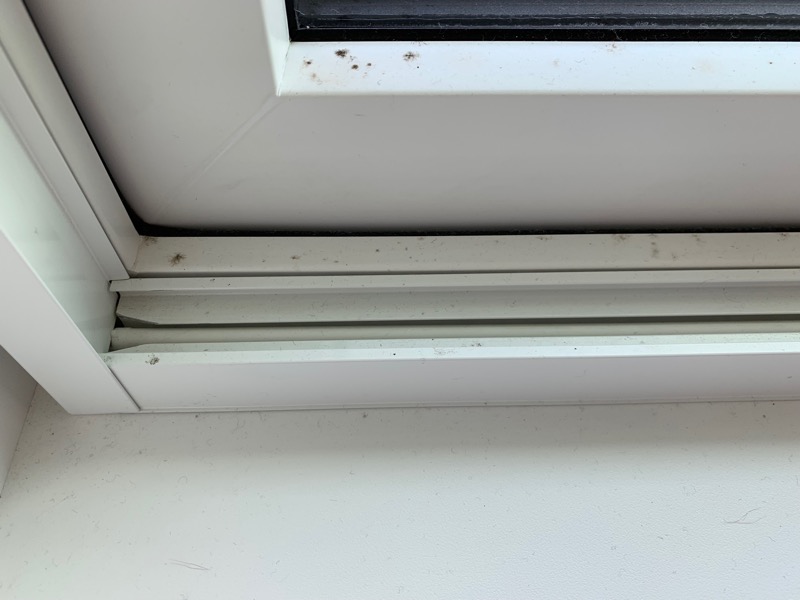 窓サッシのカビ_1