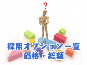 採用オプション一覧_価格・総額