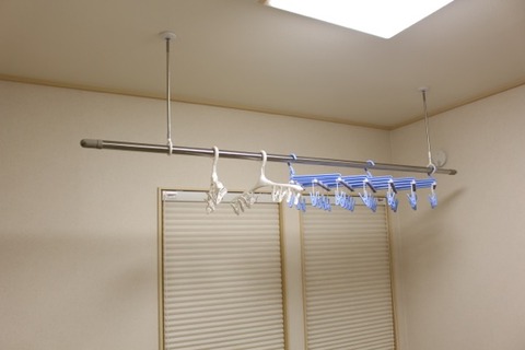 ホスクリーン_和室